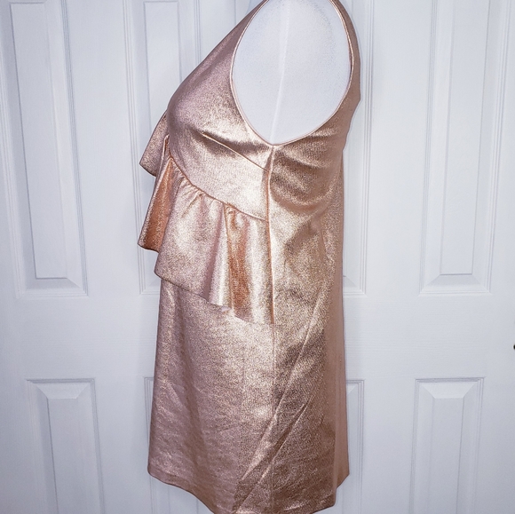 Zara Trafaluc Collection Ruffle Mini Dress Small ROSE GOLD Color - Picture 3 of 7
